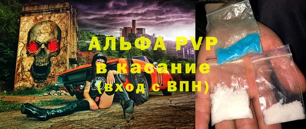 индика Балабаново