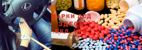индика Балабаново