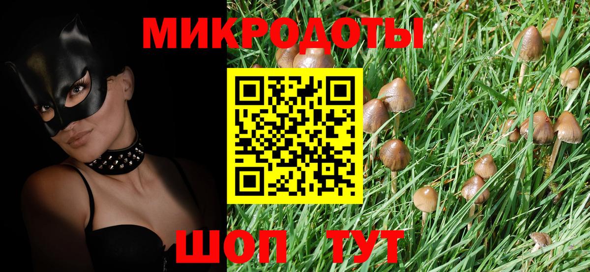 Псилоцибиновые грибы Psilocybe  Бугульма 