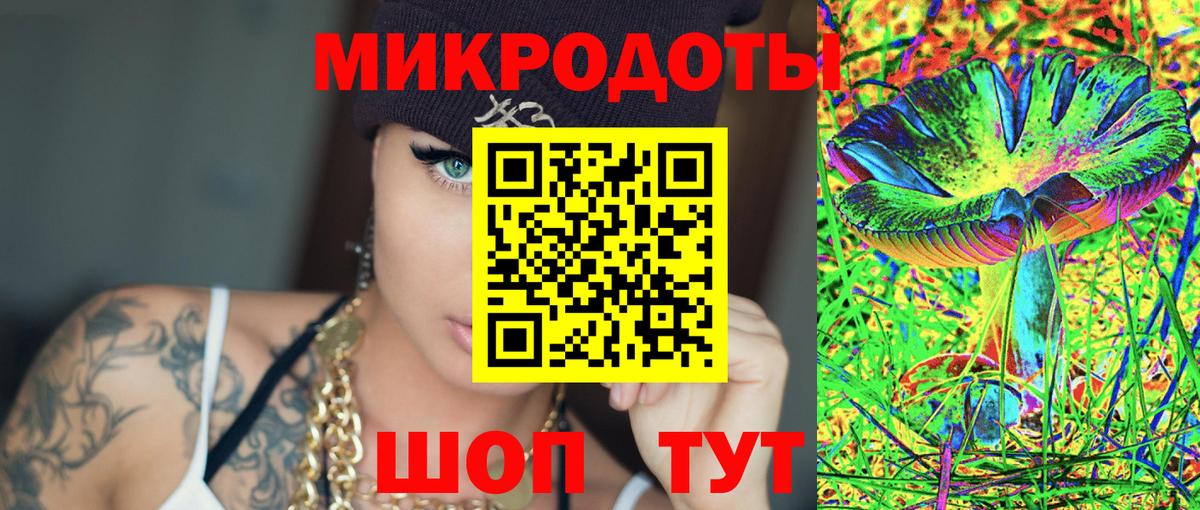 Псилоцибиновые грибы Cubensis Бугульма