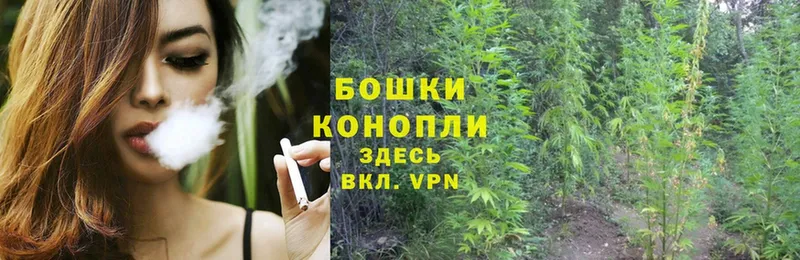 Каннабис White Widow  Бугульма 